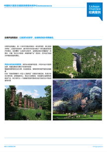 旅游項目策劃與旅游開發項目策劃咨詢 從概念到落地的全程藍圖